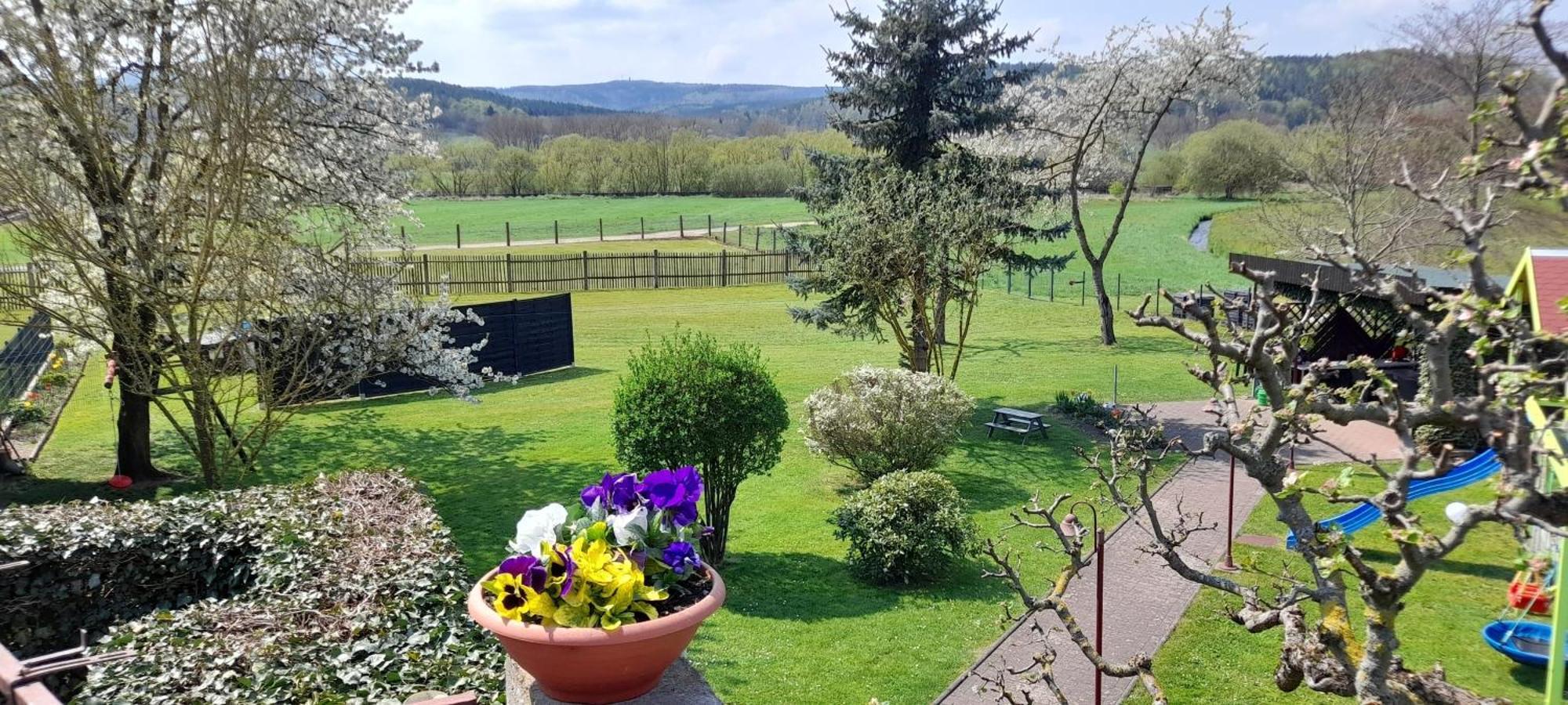 Am Grumbach Bei Familie Loesch Breitungen  Exterior foto